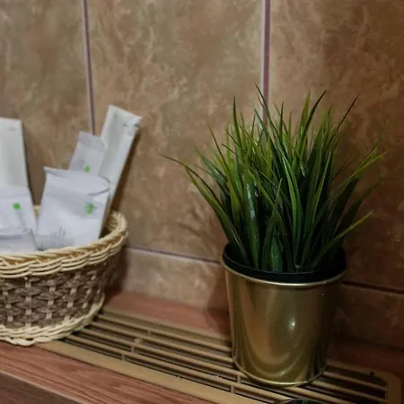 Отель Downtown Бухарест