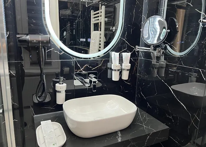Downtown Hotel 3*