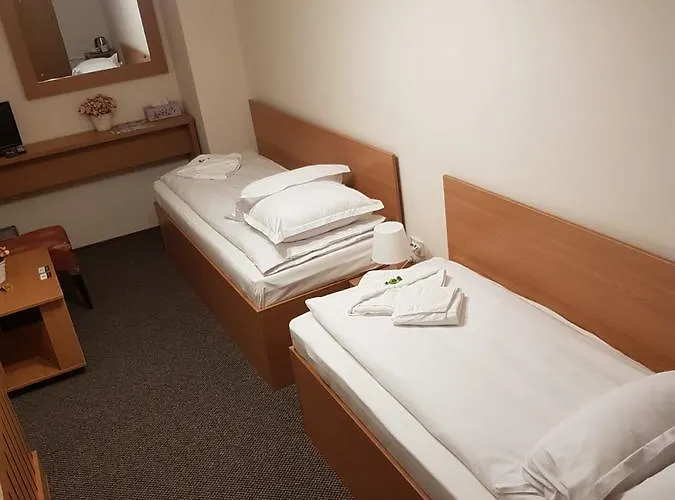 Hotel Downtown Boekarest