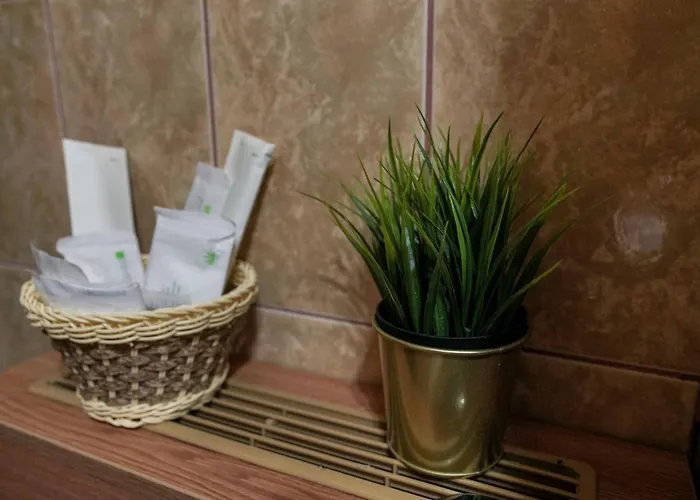 Hotel Downtown Boekarest