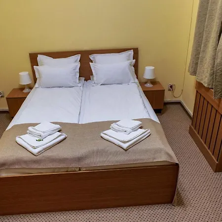 Downtown Hotel Boekarest