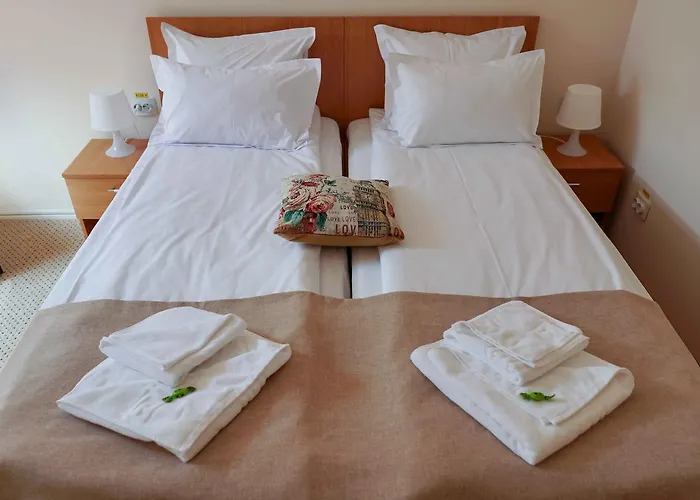 Hotel Downtown Bucarest