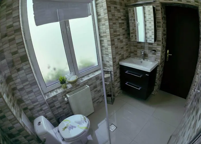 Downtown Otel 3*