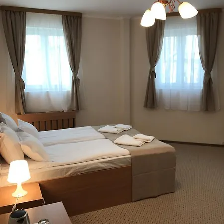Downtown Hotel