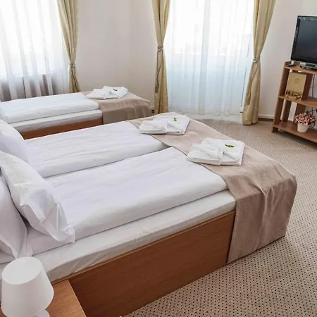 Hotel Downtown 4*