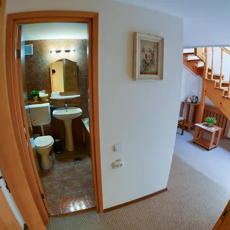 Hotel Downtown 4*