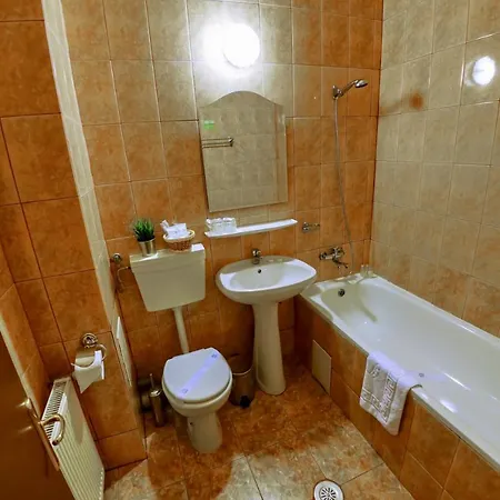 Downtown Hotel Bukarest